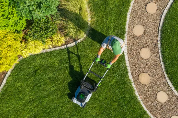 Hiring a Professional to Create a Drought-Resistant Lawn