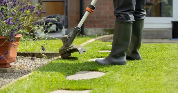  Hiring a Professional to Maintain Lawn Edges