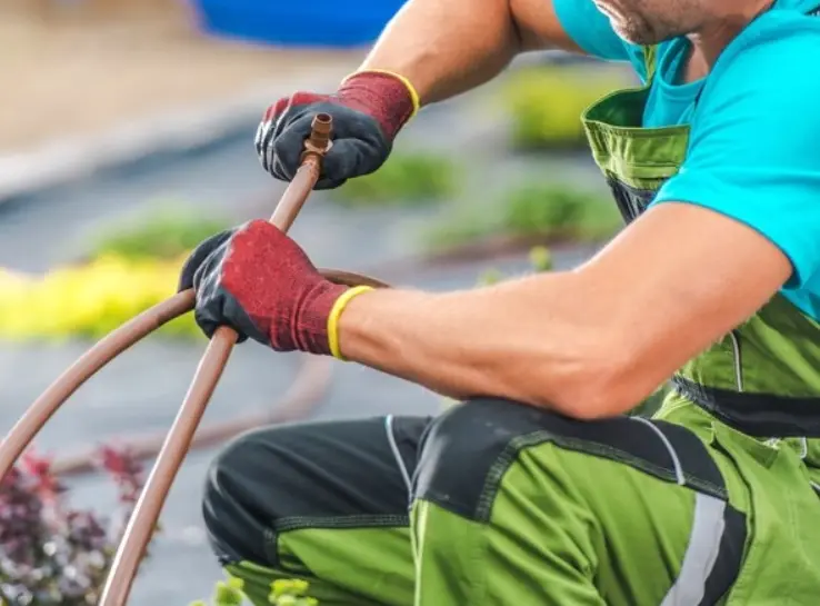 Hiring an Irrigation System Maintenance Cost Professional