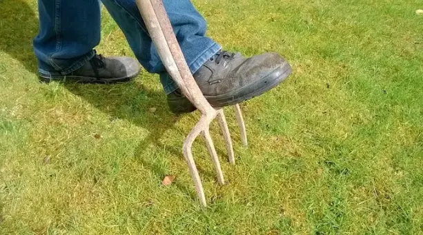 How Aeration Reduces Thatch Buildup