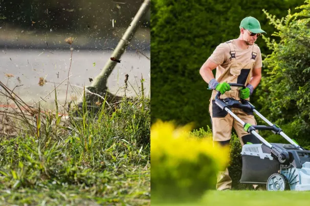 How Often Should a Lawn Be Dethatched