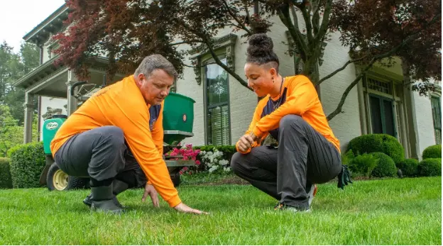 How to Hire a Budget Lawn Reseeding Professional