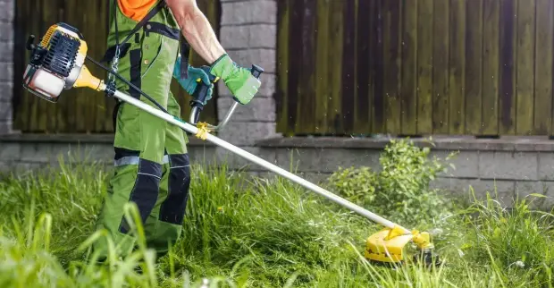 How to Hire a Grass Trim Professional