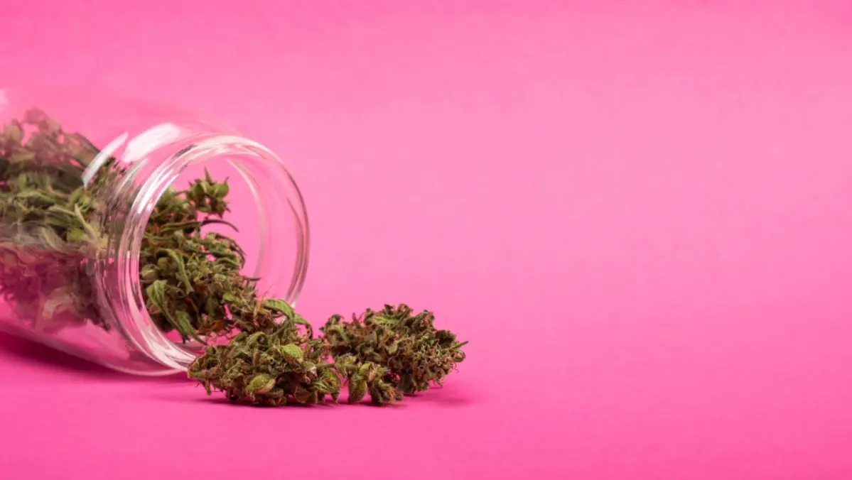 Humulene cannabis bud