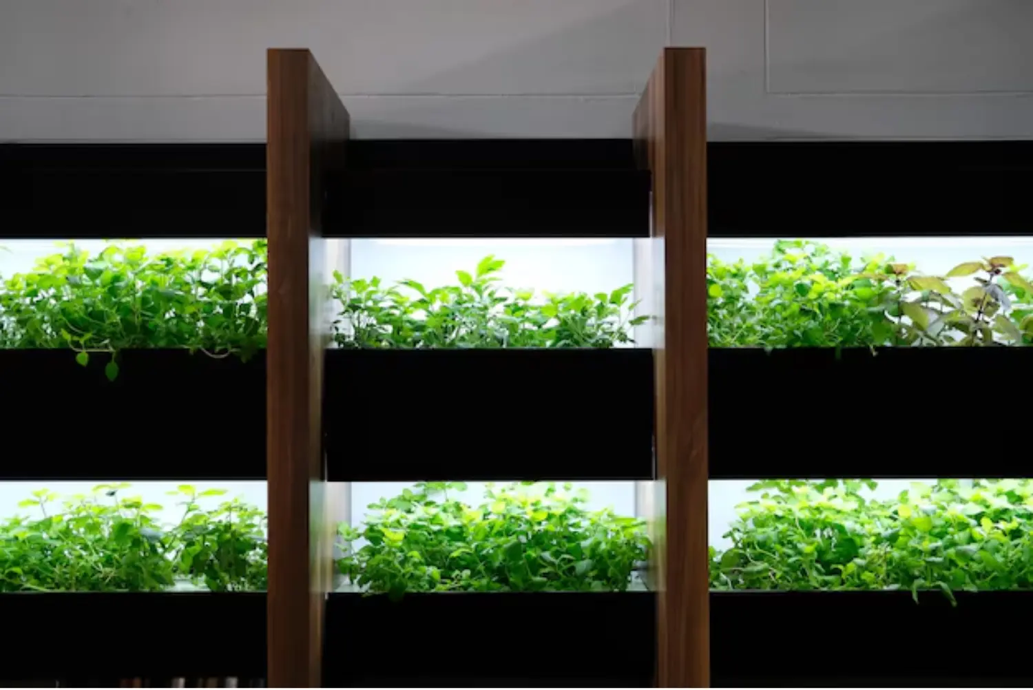Hydroponic Container Systems