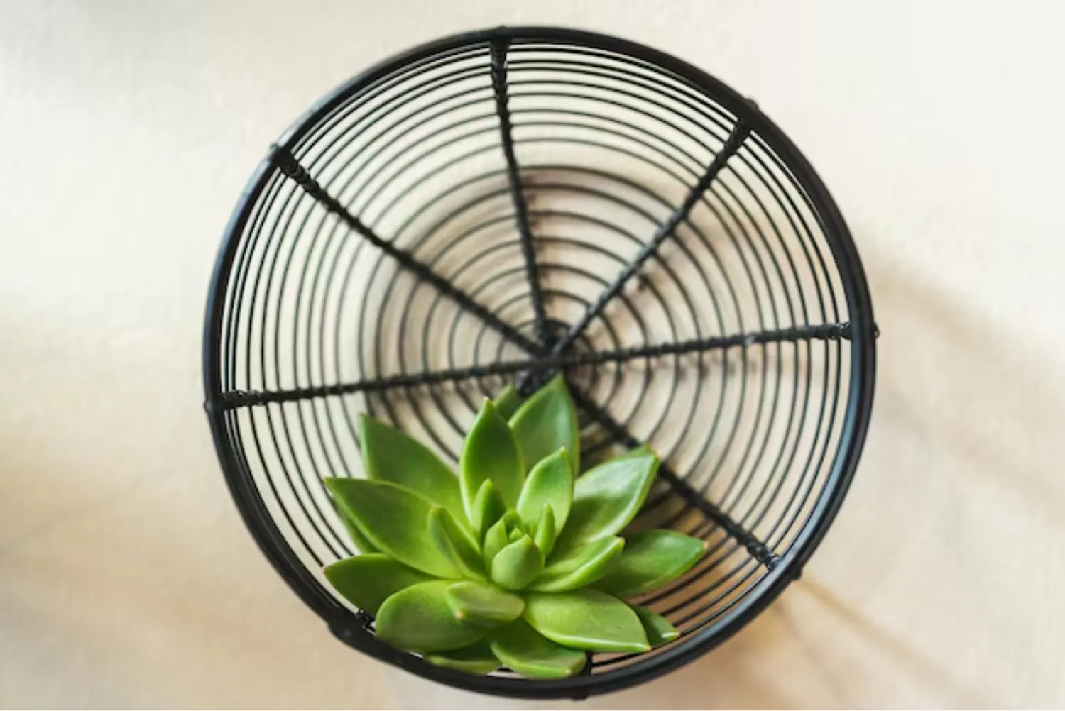 Hydroponic Fan