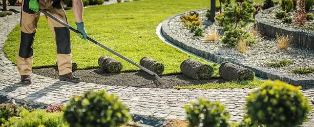 Improve the Soil
