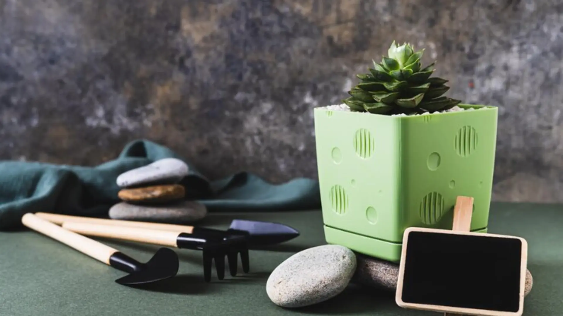 Innovative Gardening Essentials