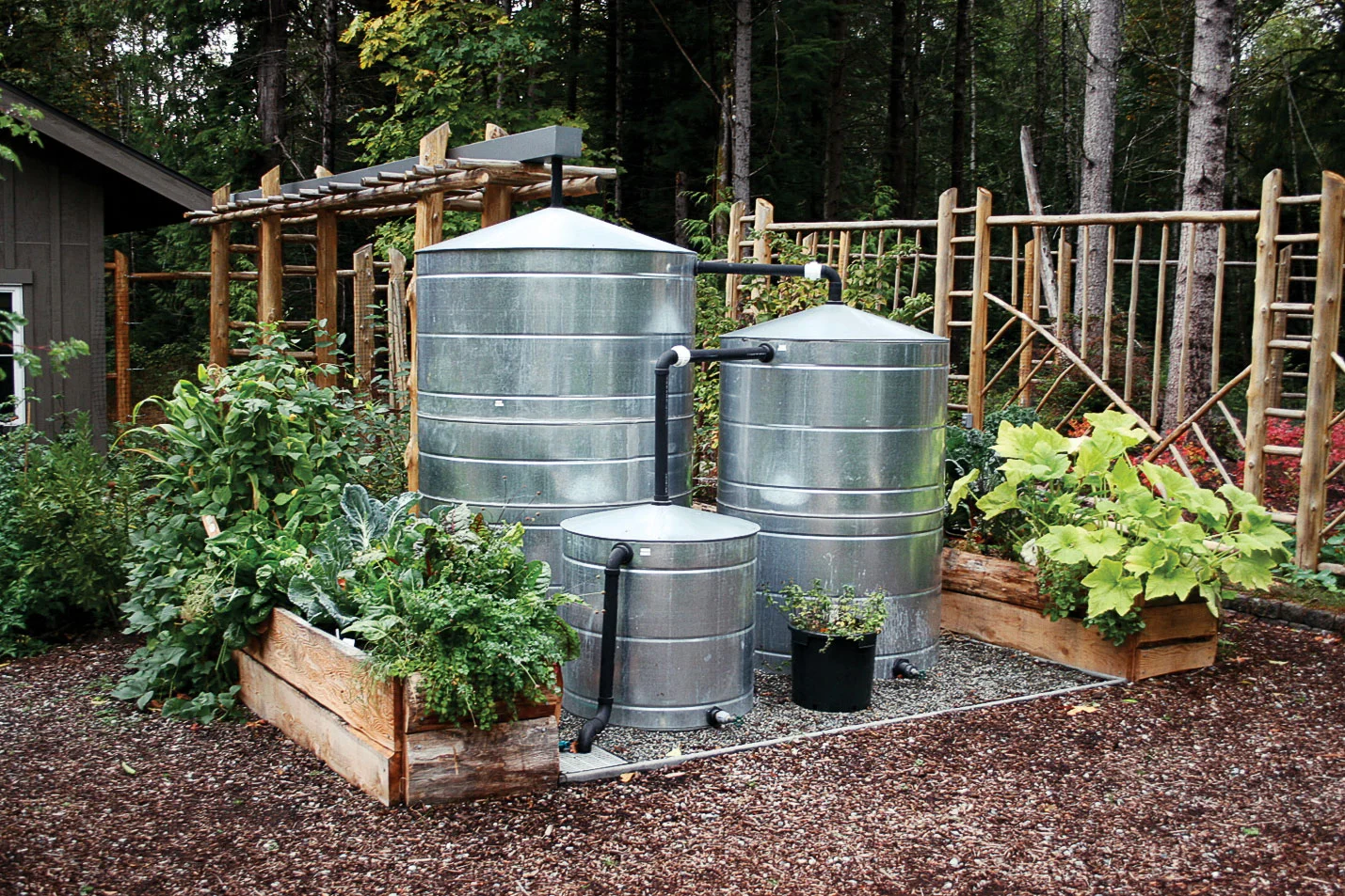 Integrating Rainwater With Irrigation Systems