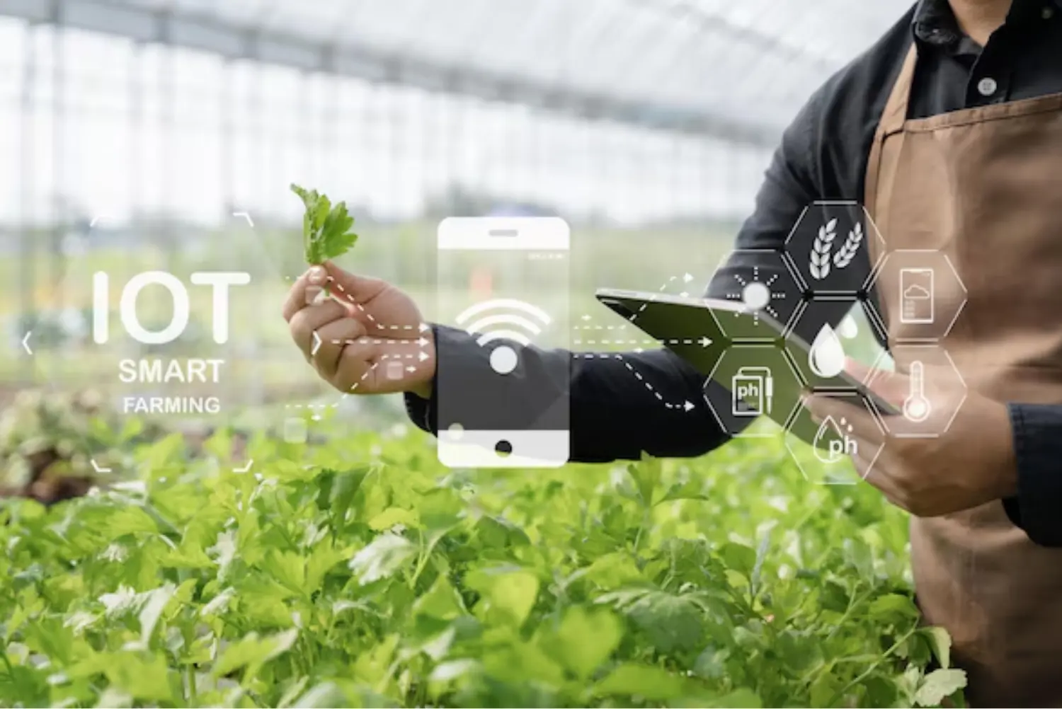 IoT and Agriculture