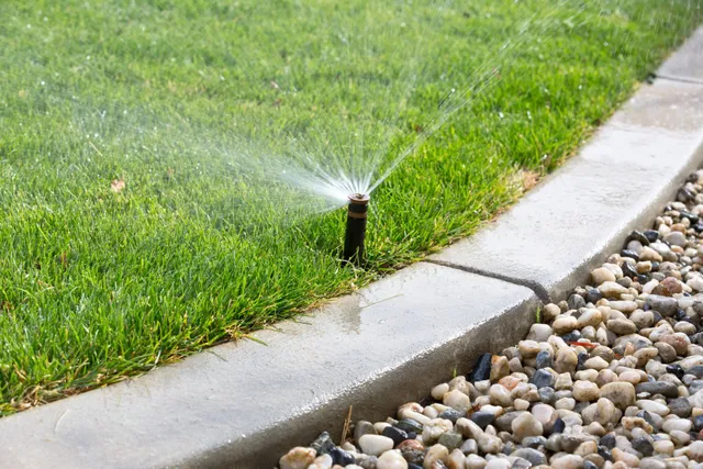 Irrigation System Layouts