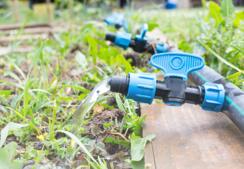 Irrigation Systems Experts