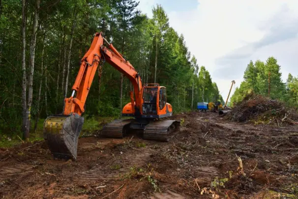 Land-Clearing Professional