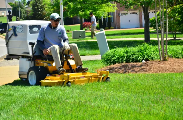 Landscape Maintenance Professional
