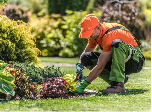 Landscape Professional