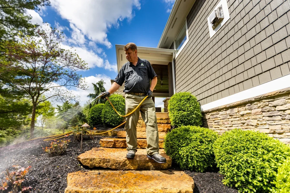 Landscaping Strategies That Reduce Mosquitoes