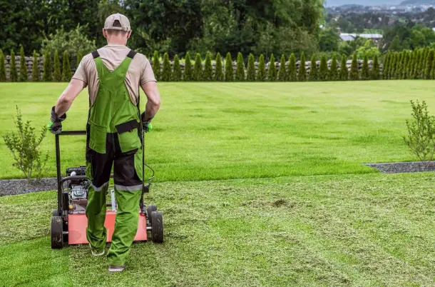 Lawn Clearing Professional After Dethatching