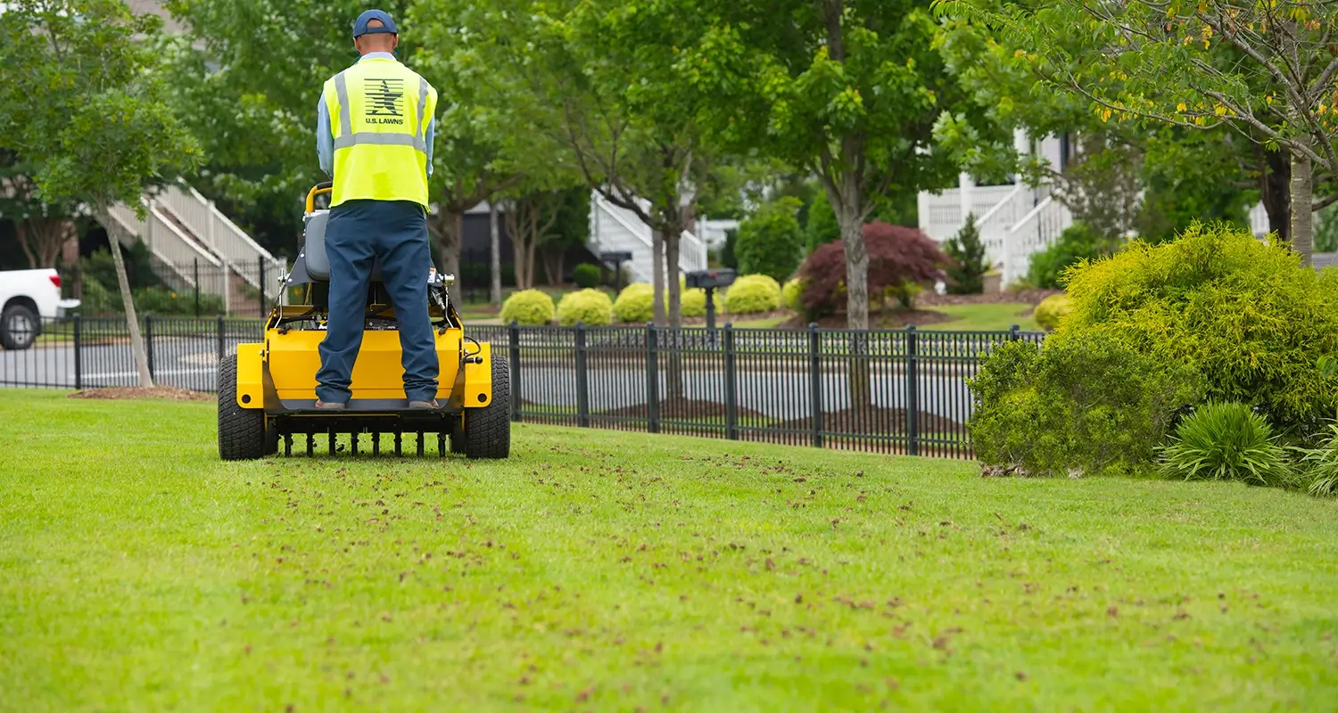 Lawn Dethatching Professional