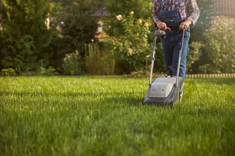 Lawn Maintenance During Drought