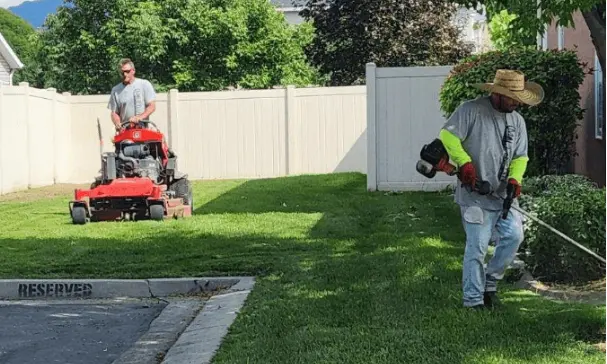 Lawn Mowing Professional