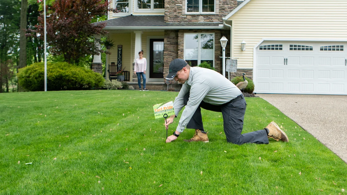 Lawn Overseeding Professional