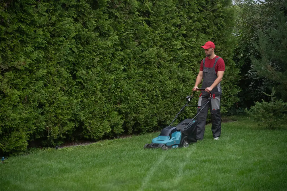 Lawn Preparation Professional