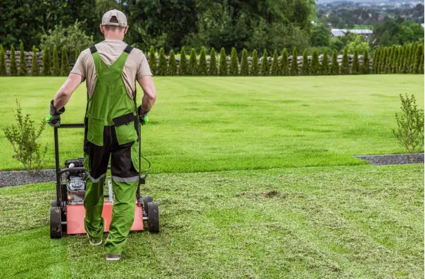 Lawn Preparation Services