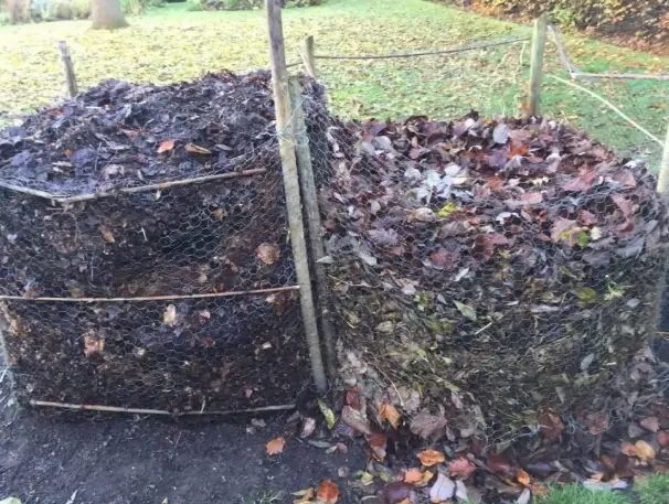 Leaf Compost Pile
