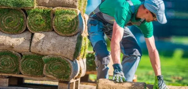 Licensed Landscape Contractor