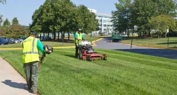 licensed landscaper