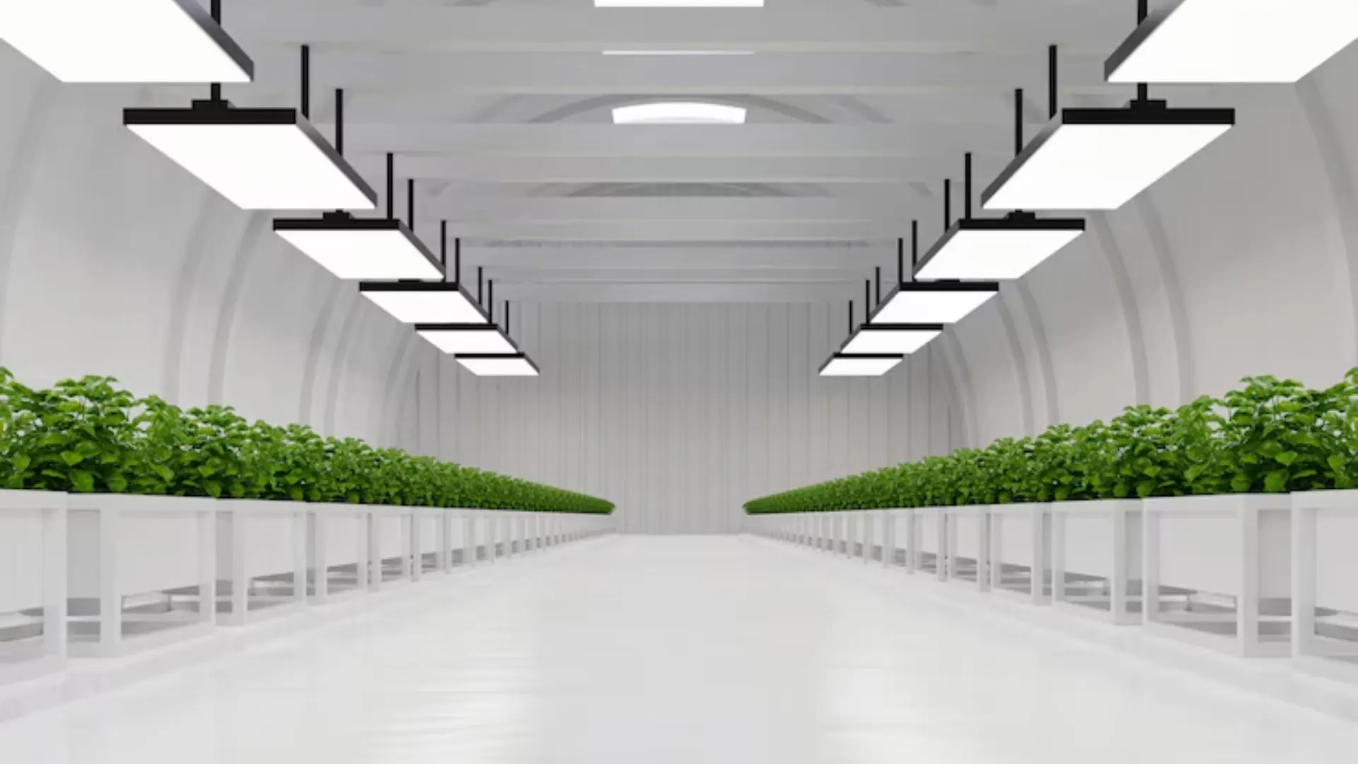 Lighting and Infrastructure