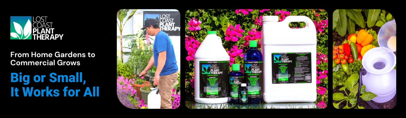 https://growcycle.com/lost-cost-plant-therapy