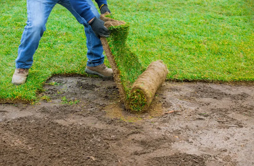 Low-Maintenance Landscaping
