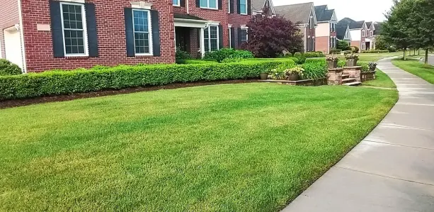  Maintain and Protect the Yard