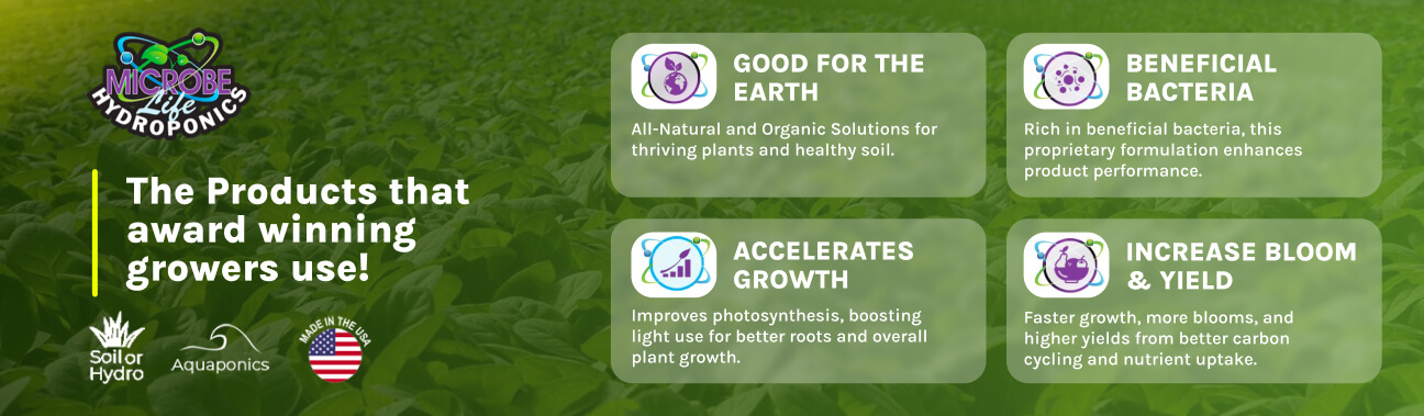 Microbe%20Life%20Hydroponics%20-%20Article%20Banner-%201296x379.jpg?1748538787406