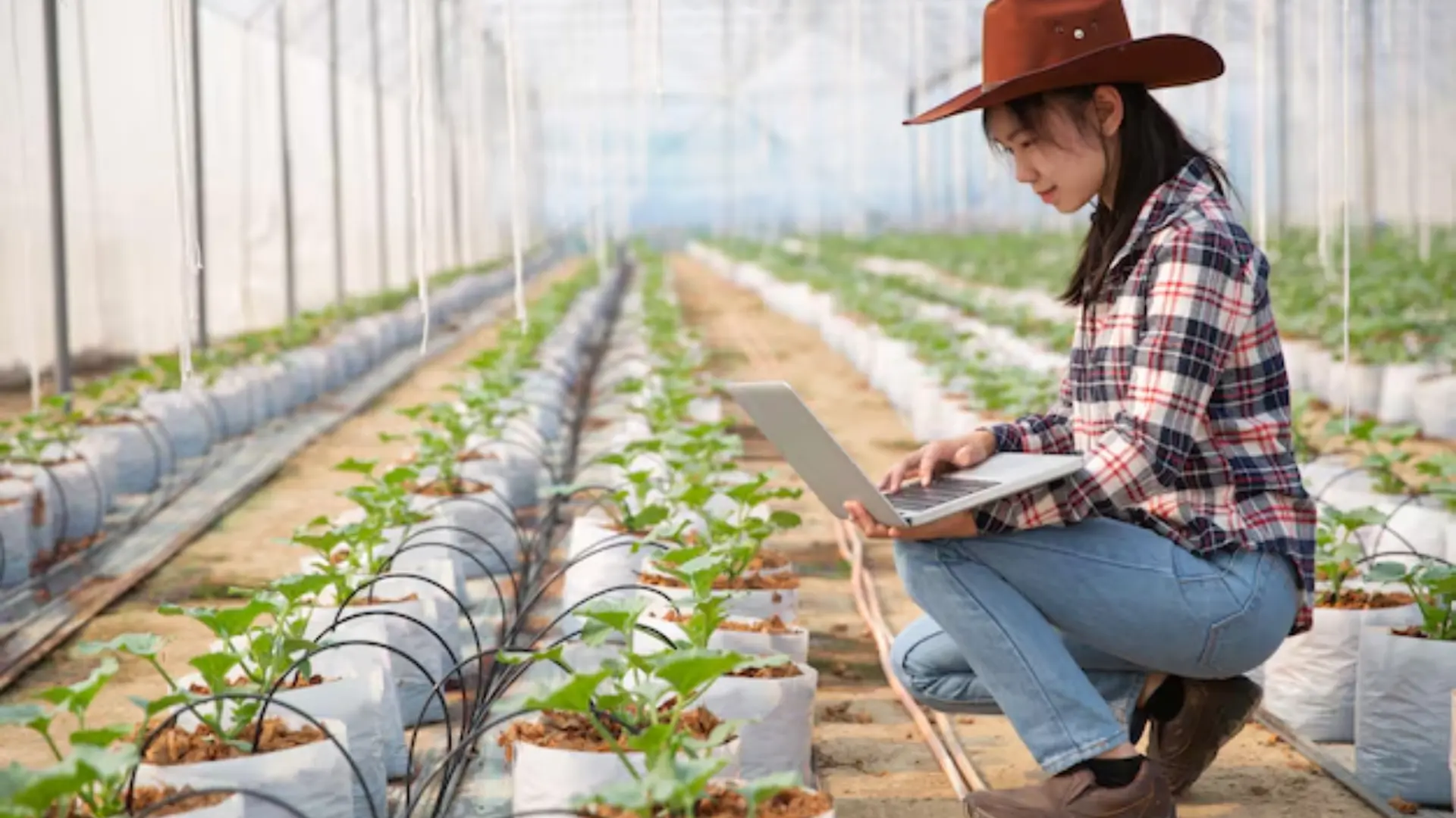 Modern Farming