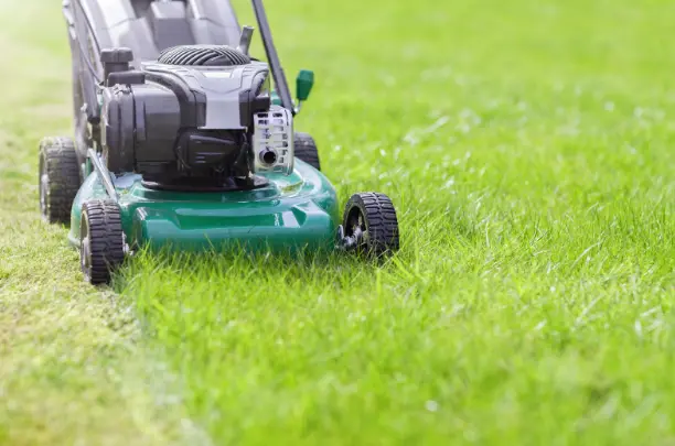 Mowing Habits