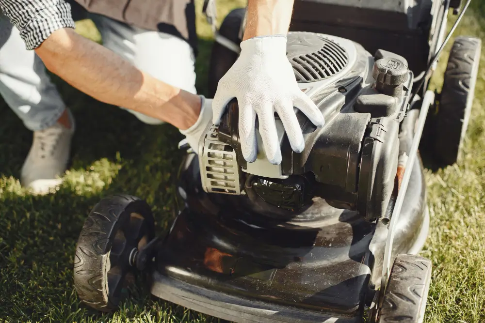 Mowing and Edging  Service Provider