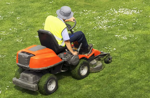 Mowing in Winter