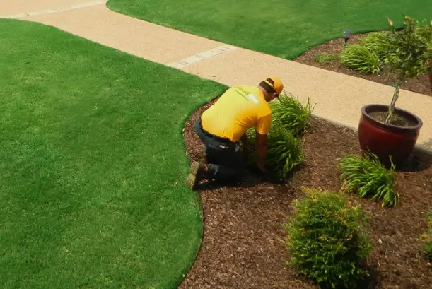 Mulch Beds and Plant Borders Professional