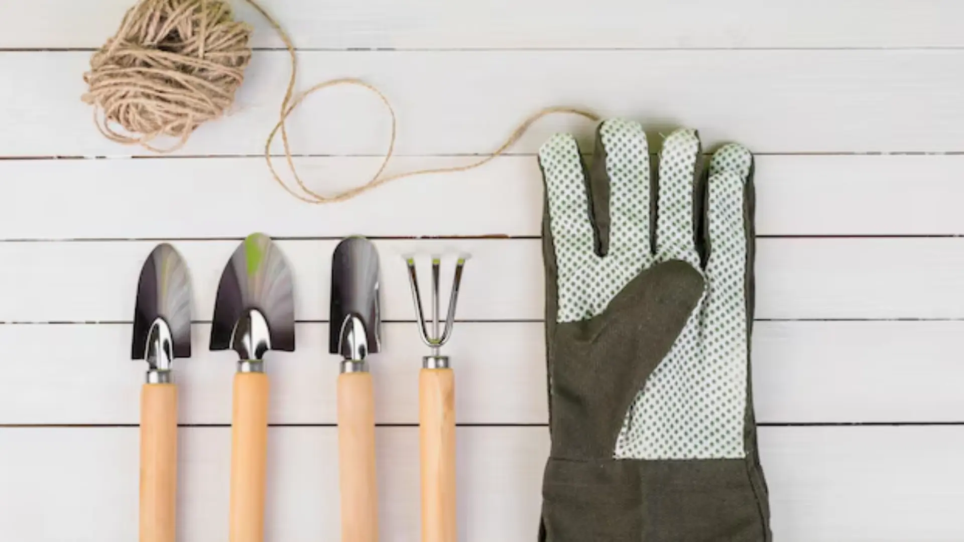 Must-Have Hand Tools