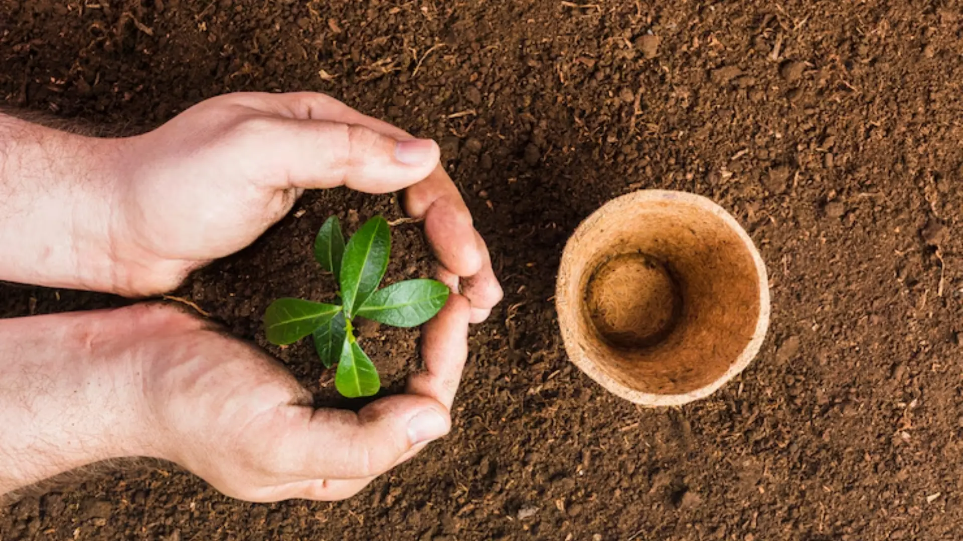 Organic Soil Health