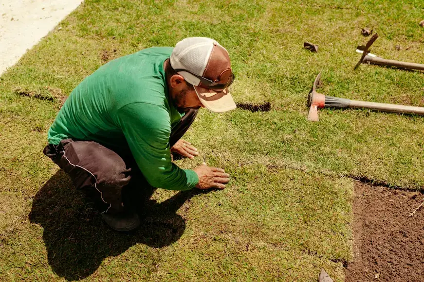 Overseeding and Reseeding Professional