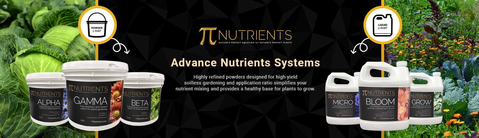 Pi-Nutrients-Email-Banners-1853-X-536.jpg?1728686853183