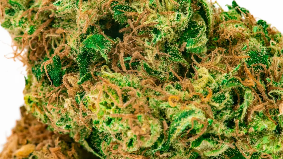 Pinene Cannabis Terpene