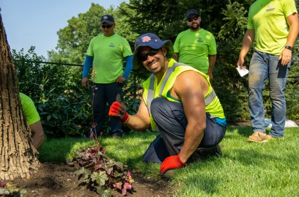 Plant Care Professional