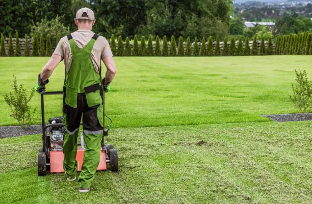 Post-Aeration Lawn Maintenance Professional