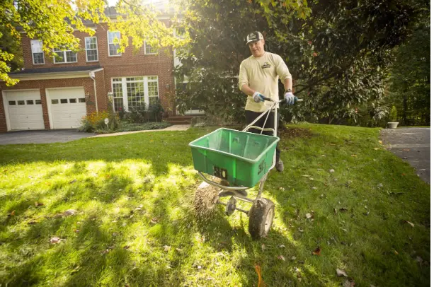 Power Raking Before Overseeding