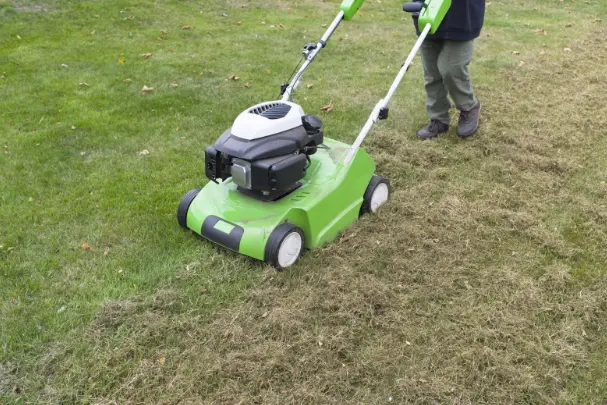 Power Raking