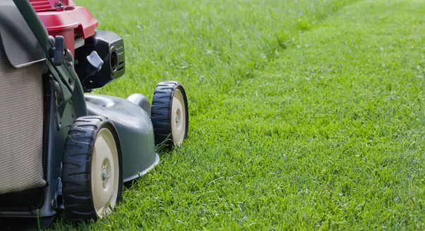 Prepare the Mower